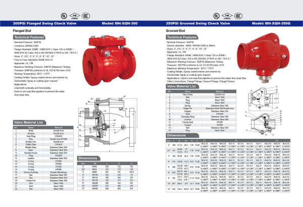 300PSI  Flanged  Swing Check Valve