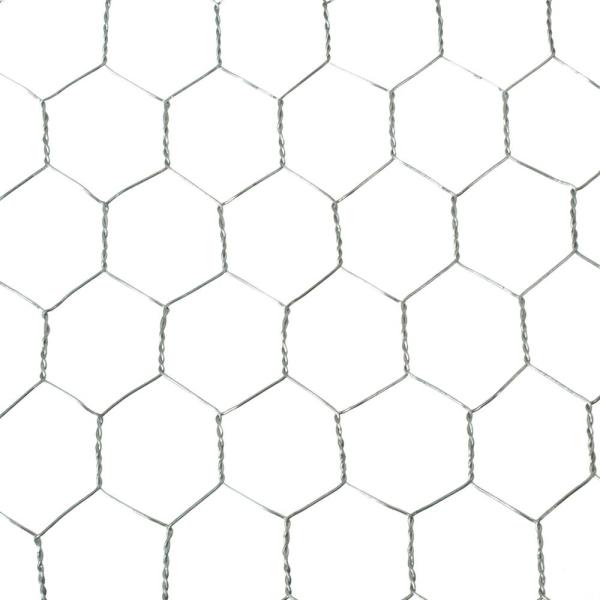 Hexagonal Iron Wire Netting