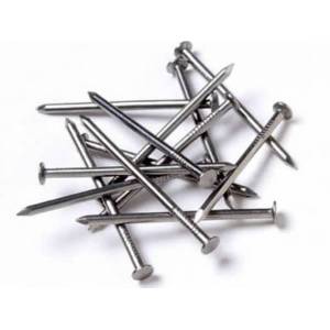 Solid Prime Common nail for construction