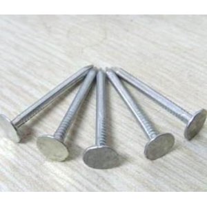 Wholesale galvanized flat head nails with smooth shank for roofing