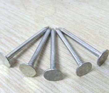 Wholesale galvanized  flat head nails with smooth shank for roofing