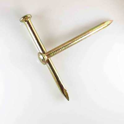 Anti-corrosion  Coated  Steel Nails