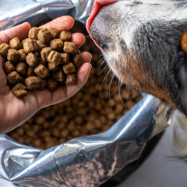 Bolsas de comida para mascotas: cómo evitar errores comunes al comprar