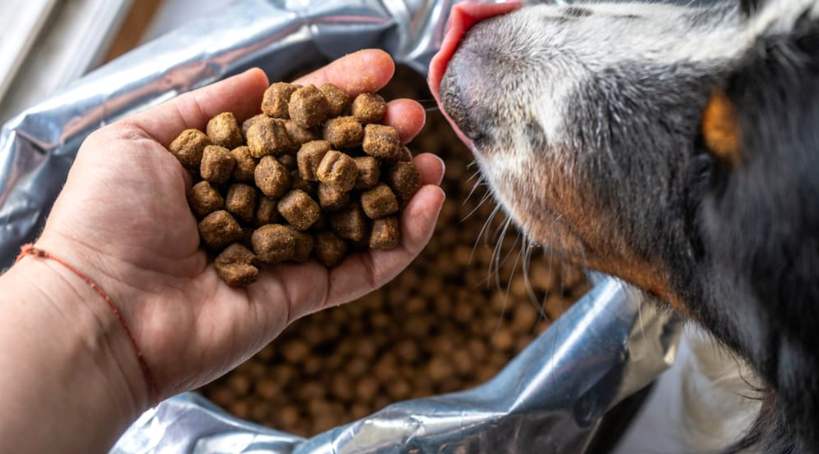 Sacs flexibles pour aliments pour animaux de compagnie