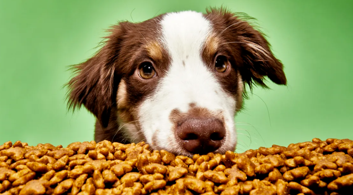 Pet Food Flexible Packaging