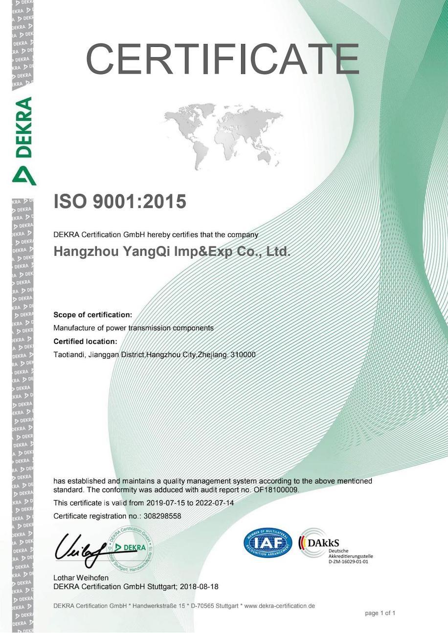 ISO 9001: 2015 EN