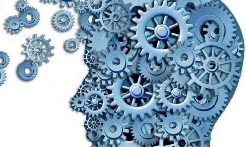 ¿Dónde se utilizan habitualmente los productos de transmisión? Aquí tienes algunas referencias creativas.
