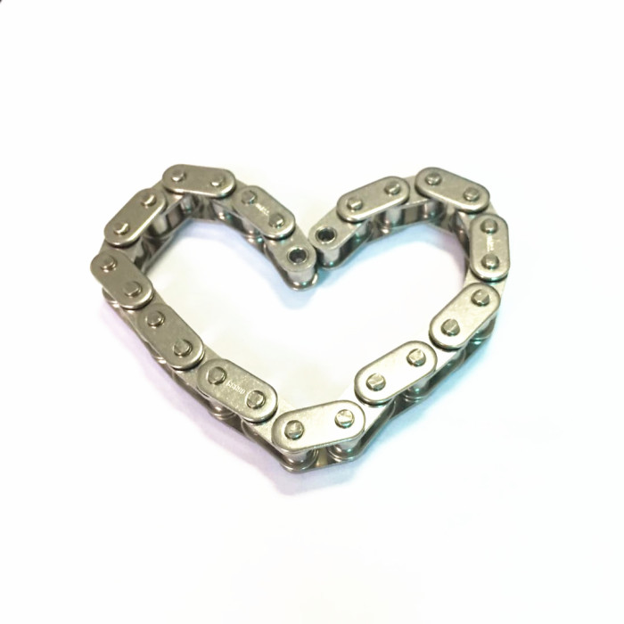 20A-1 / 100-1 Getriebekette B-Serie Rollenkette Hochwertiger China-Lieferant Vernickelte Ketten