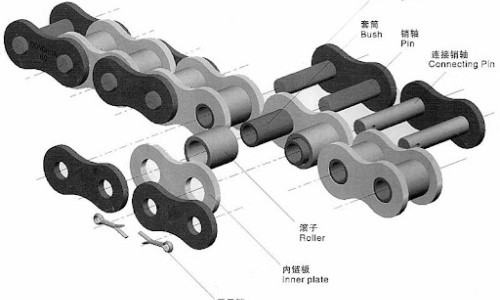 The Structure Of the Roller Chain