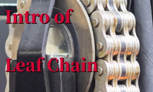 Intro of Leaf Chain