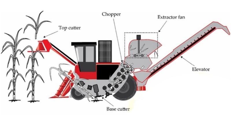Sugarcane Chain For Cane Harvester