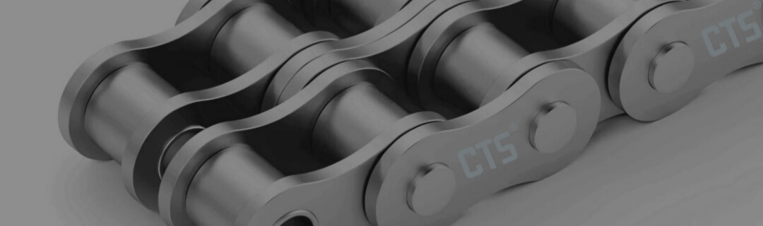 CTS Roller Chain