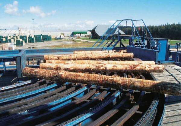 Chain and Sprocket For Wood Processing Industry