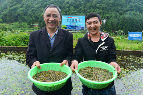 Das erste Wasser-Hema-Dorf des Landes ließ sich in Chongqing nieder, die vom Aussterben bedrohte Brasenia-Art dehnte sich aus