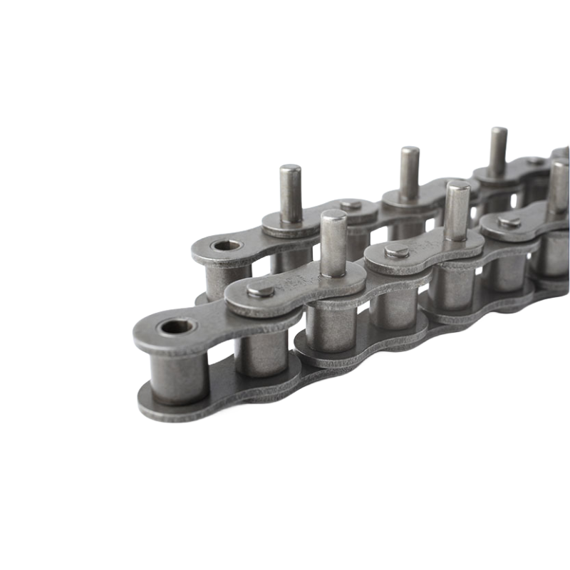 Roller Chain with Extended Pins