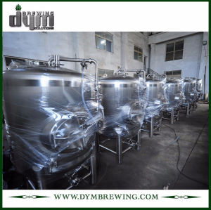Tanque de almacenamiento de cerveza de acero inoxidable de grado alimenticio 5bbl (EV 5BBL) para almacenar la cerveza