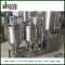 Customized 200L Pilot Beer Brewing System for Pub Brewery