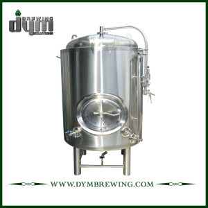 Индивидуальный резервуар для светлого пива на 20 л для пивоварения в пабах