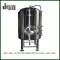 Customized 40HL Bright Beer Tank for Pub Brewing