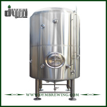 Customized 40HL Bright Beer Tank for Pub Brewing