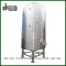Customized 100HL Bright Beer Tank for Pub Brewing