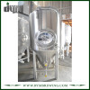 Customized 300L Stainless Steel Conical Fermenter for Wine Brewery Fermentation