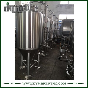 Customized 300L Stainless Steel Conical Fermenter for Wine Brewery Fermentation