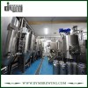 Équipement de brassage de bière nano clé en main de l'acier inoxydable SUS304 700L pour la brasserie