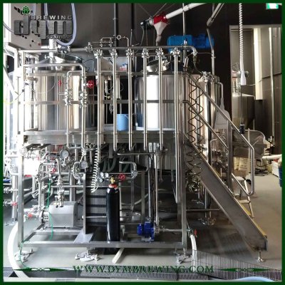 Fábrica de cerveza Nano de acero inoxidable 1000L personalizada profesional para la venta