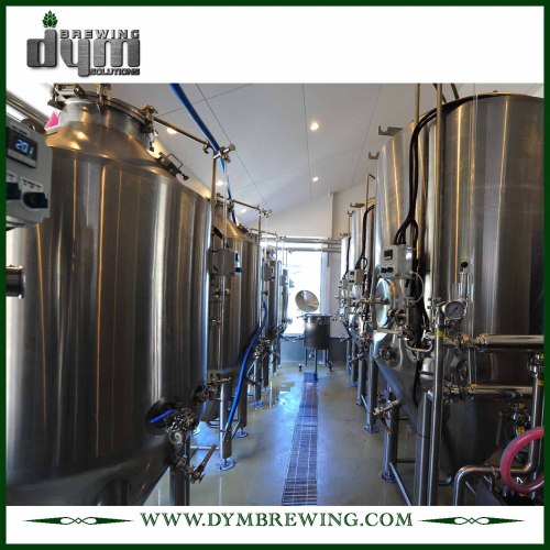 Fermentador Unitank 500L personalizado profesional para fermentación de cervecería con chaqueta de glicol