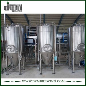 Fermentador Unitank de 120L personalizado profesional para fermentación de cervecería con chaqueta de glicol