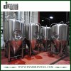 Fermentador Unitank de 5bbl personalizado profesional para fermentación de cervecería con chaqueta de glicol