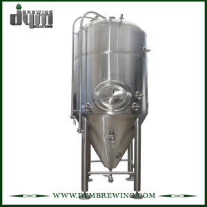 Fermentador Unitank de 25bbl personalizado profesional para fermentación de cervecería con chaqueta de glicol
