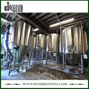 Tanques de fermentación de vino de 10bbl de acero inoxidable de alta eficiencia (EV 10BBL, TV 13BBL) a la venta