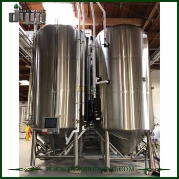 High Efficiency Stainless Steel 100bbl Wine Fermenting Tanks (EV 100BBL, TV 130BBL) for Sale