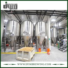 Fermentation Equipment for Beer Brewery | 30HL Conical Fermenter Brewing Equipment for Sale