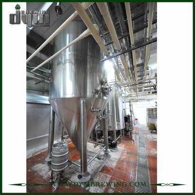 Fermentador Unitank 80HL personalizado profesional para fermentación de cervecería con chaqueta de glicol