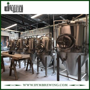 Jacketed Conical Fermenter for Beer Brewery | 15HL Stainless Steel Conical Fermenter for Sale
