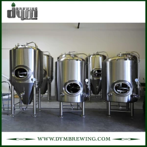 Customized 20bbl Bright Beer Tank (EV 20BBL, TV 24BBL) for Pub Brewing
