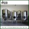 Customized 15bbl Bright Beer Tank (EV 15BBL, TV 18BBL) for Pub Brewing