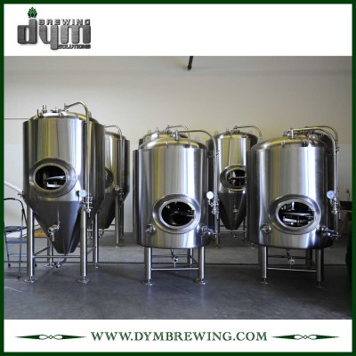 Réservoir de bière lumineux personnalisé 5bbl (EV 5BBL, TV 6BBL) pour brassage de pub