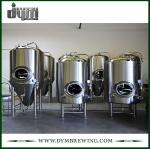 Réservoir de bière lumineux 20bbl personnalisé (EV 20BBL, TV 24BBL) pour brassage de pub