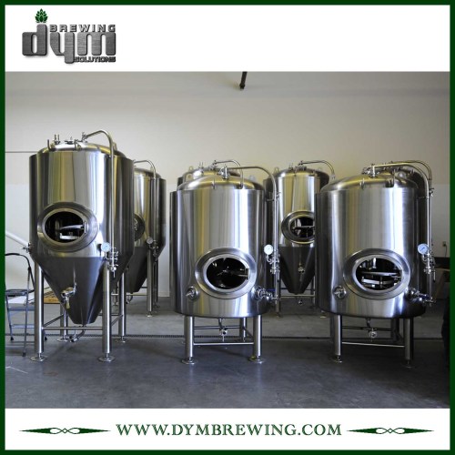 Tanque de cerveza brillante personalizado de 5bbl (EV 5BBL, TV 6BBL) para pub Brewing