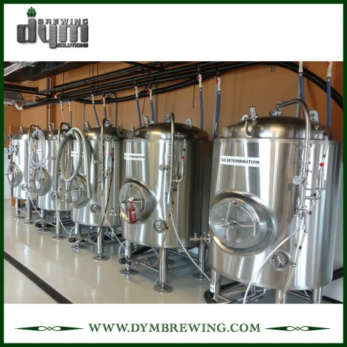 Customized 15bbl Bright Beer Tank (EV 15BBL, TV 18BBL) for Pub Brewing