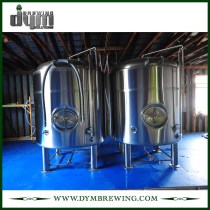 Customized 40bbl Bright Beer Tank (EV 40BBL, TV 48BBL) for Pub Brewing