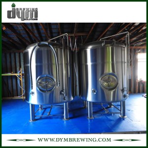 Индивидуальный резервуар для светлого пива на 10 баррелей (EV 10BBL, TV 12BBL) для пивоварения в пабах