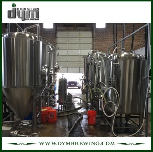 Tanque de cerveza brillante personalizado de 10bbl (EV 10BBL, TV 12BBL) para pub Brewing