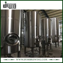 Customized 5bbl Bright Beer Tank (EV 5BBL, TV 6BBL) for Pub Brewing