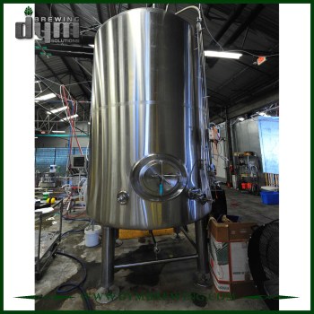 Customized 40bbl Bright Beer Tank (EV 40BBL, TV 48BBL) for Pub Brewing