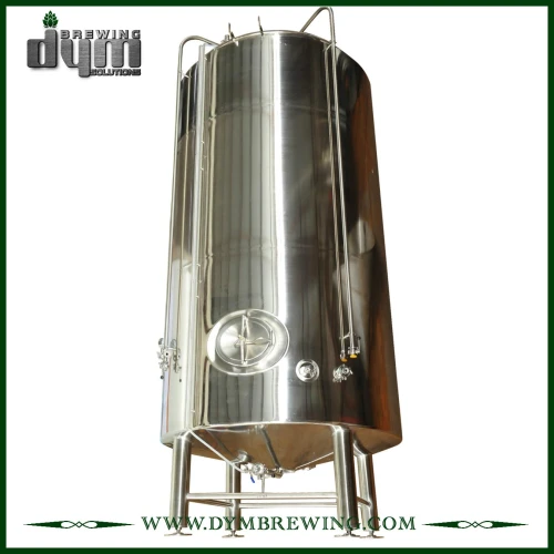 Customized 120bbl Bright Beer Tank (EV 120BBL, TV 144BBL) for Pub Brewing